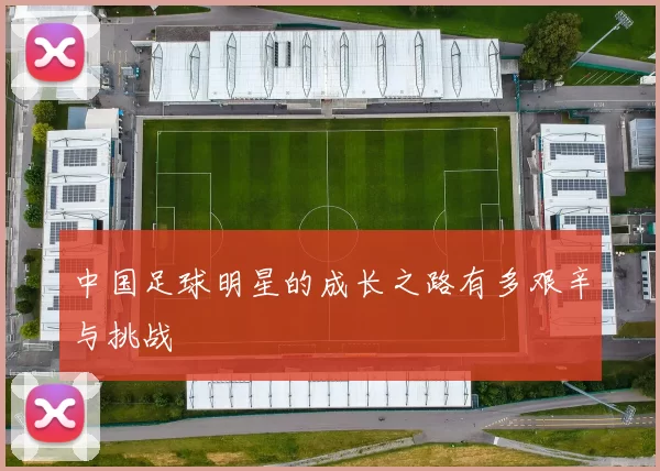 中国足球明星的成长之路有多艰辛与挑战