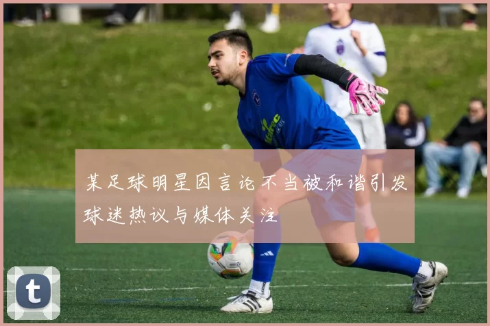 某足球明星因言论不当被和谐引发球迷热议与媒体关注