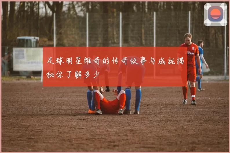 足球明星维奇的传奇故事与成就揭秘你了解多少
