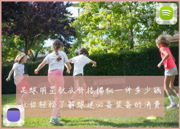 足球明星秋衣价格揭秘一件多少钱让你轻松了解球迷必备装备的消费水平