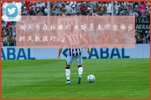 湖人与森林狼对决球员表现全面分析及数据对比