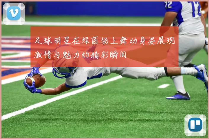 足球明星在绿茵场上舞动身姿展现激情与魅力的精彩瞬间