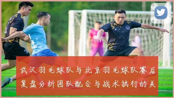 武汉羽毛球队与北京羽毛球队赛后复盘分析团队配合与战术执行的关键因素
