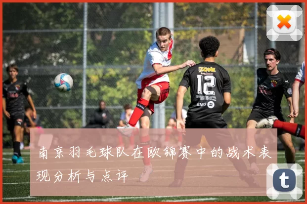 南京羽毛球队在欧锦赛中的战术表现分析与点评