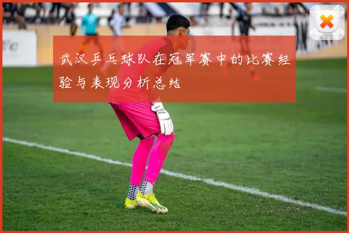武汉乒乓球队在冠军赛中的比赛经验与表现分析总结
