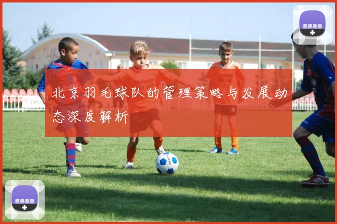 北京羽毛球队的管理策略与发展动态深度解析