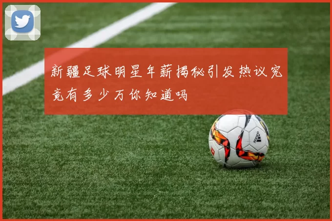 新疆足球明星年薪揭秘引发热议究竟有多少万你知道吗