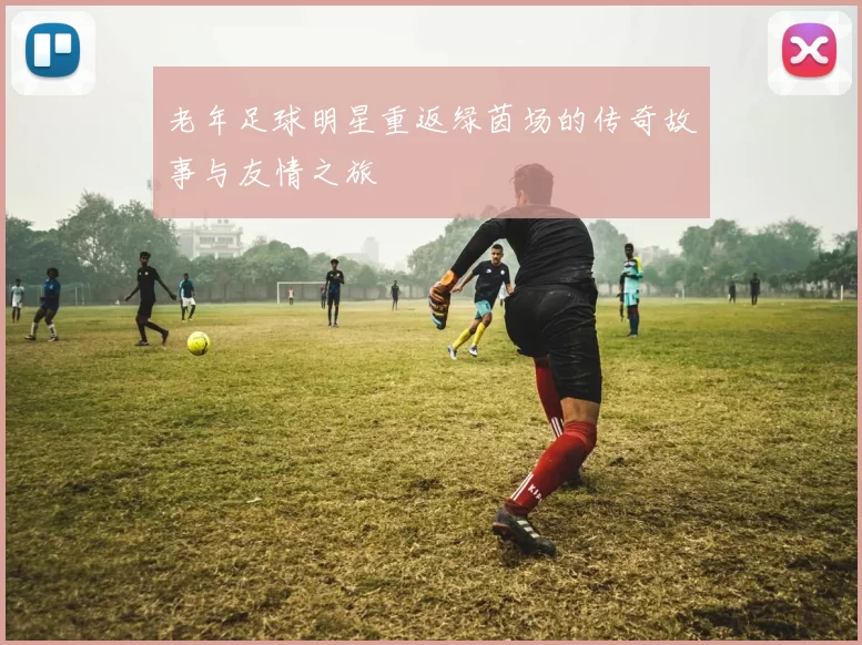 老年足球明星重返绿茵场的传奇故事与友情之旅