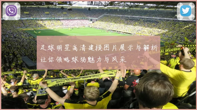足球明星高清建模图片展示与解析让你领略球场魅力与风采