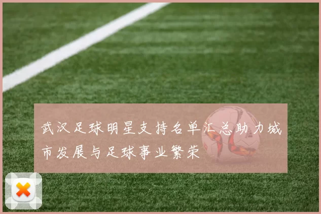 武汉足球明星支持名单汇总助力城市发展与足球事业繁荣