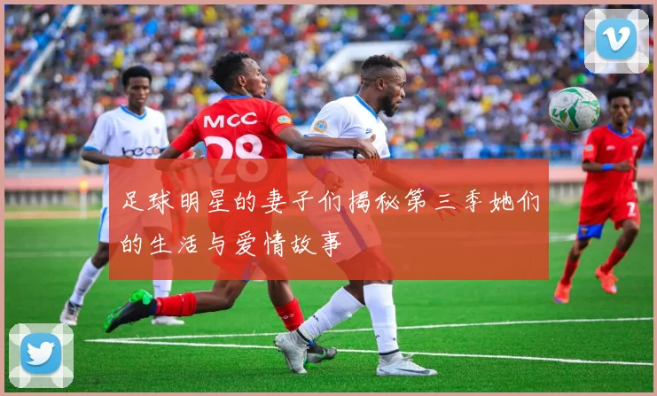 足球明星的妻子们揭秘第三季她们的生活与爱情故事