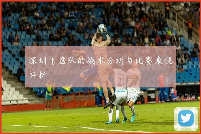 深圳飞盘队的战术分析与比赛表现评析