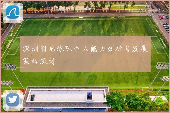 深圳羽毛球队个人能力分析与发展策略探讨