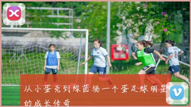 从小蛋壳到绿茵场一个蛋足球明星的成长传奇