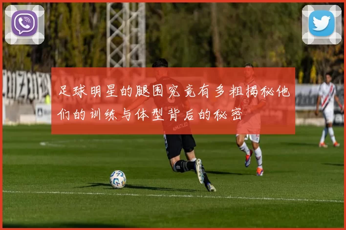 足球明星的腿围究竟有多粗揭秘他们的训练与体型背后的秘密