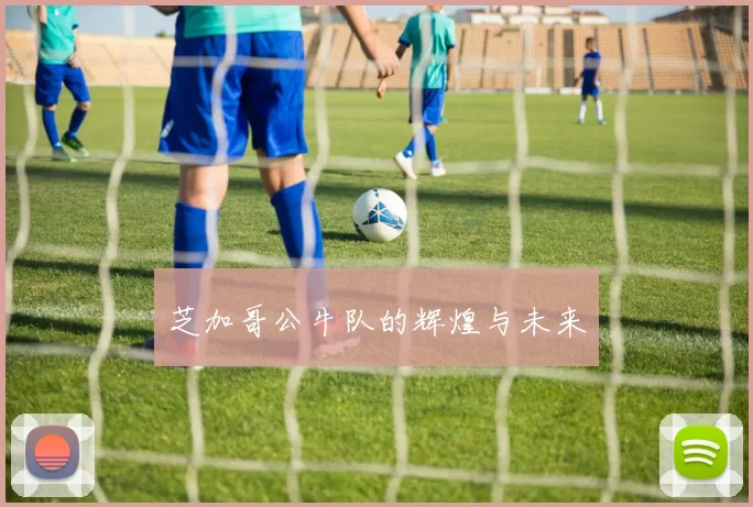 芝加哥公牛队的辉煌与未来