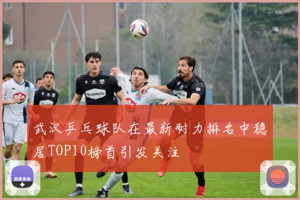 武汉乒乓球队在最新耐力排名中稳居TOP10榜首引发关注