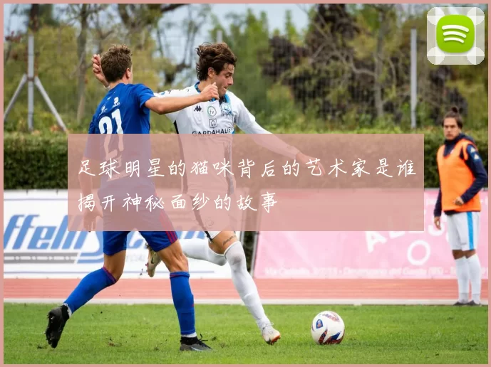 足球明星的猫咪背后的艺术家是谁揭开神秘面纱的故事