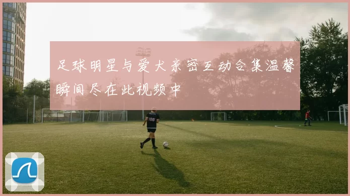 足球明星与爱犬亲密互动合集温馨瞬间尽在此视频中
